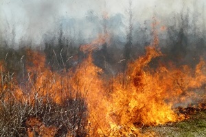 controlled burn_Patuxent Research Refuge MD_credit USFWS