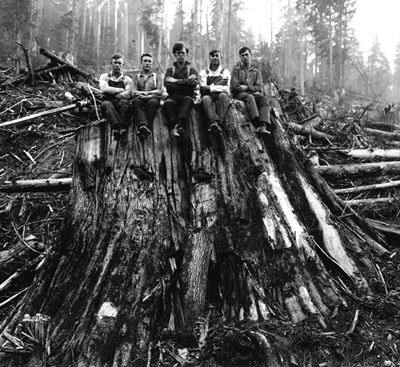 Men Sitting on a Red Cedar Stump WA 1925_USFS