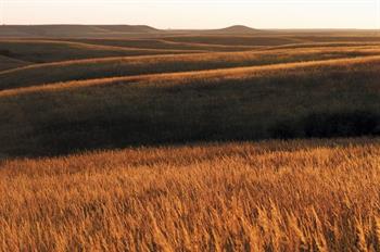 Prairie photo. Credit USFWS.