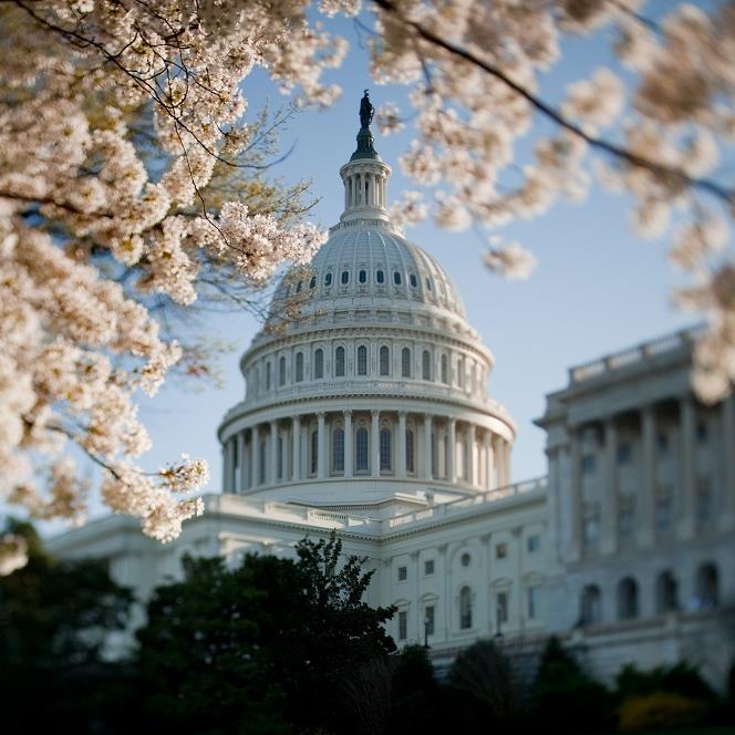 U.S. Capitol in spring - credit Architect of the Capitol