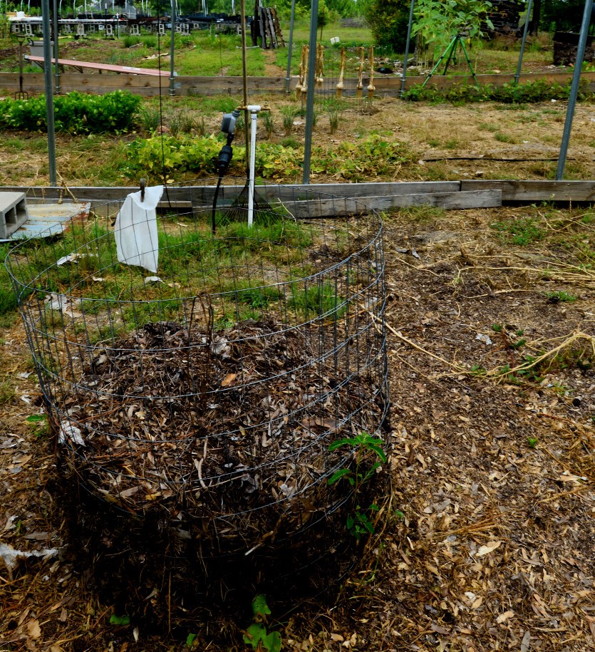 Compost pile