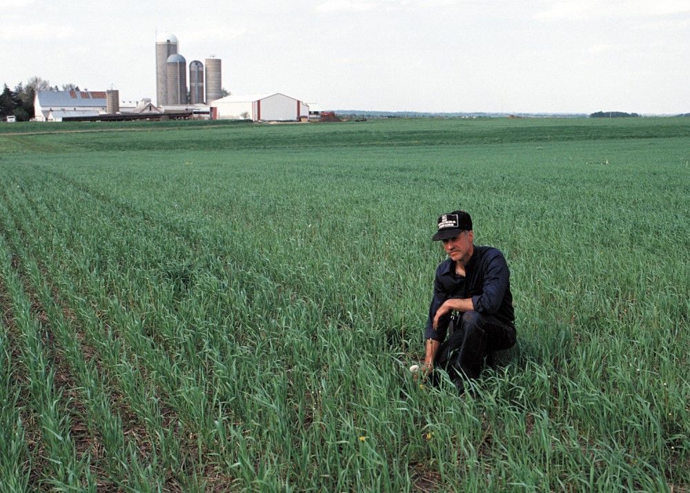 Cover crops