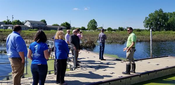 People touring a marsh