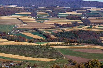 Farms in PA_USDA_credit Scott Bauer