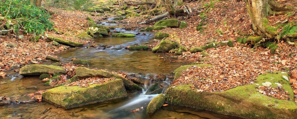 Tributary of the Susquehanna River