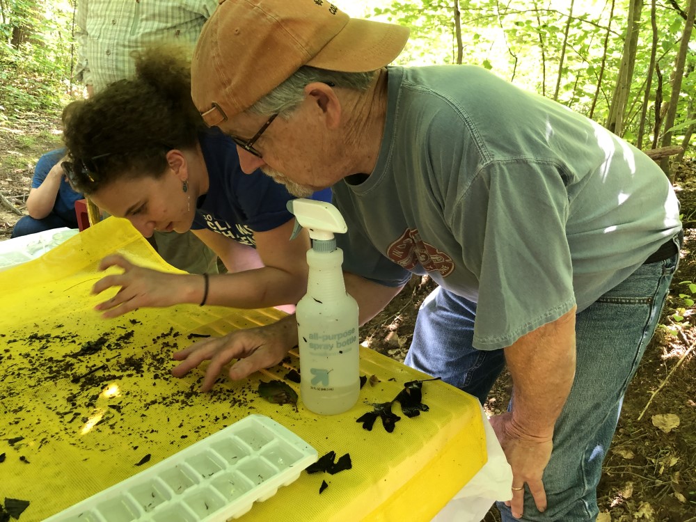 Chesapeake Monitoring Outreach Coordinator Emily Bialowas teaches a new stream monitor to ID stream bugs