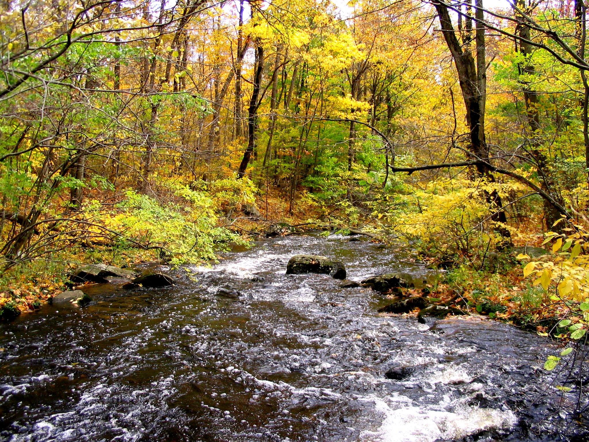 pequannock River_credtis Pequannock River Coalition