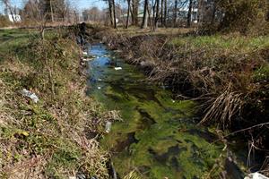 Polluted Creek in Marydel MD_credit Chesapeake Bay Program
