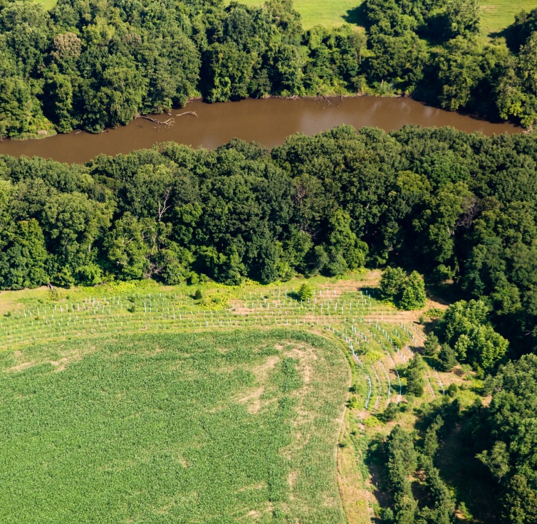 riparian forest buffer_MD_credit Will Parson-Ches Bay Prog