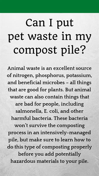 Don't put pet waste in your compost pile