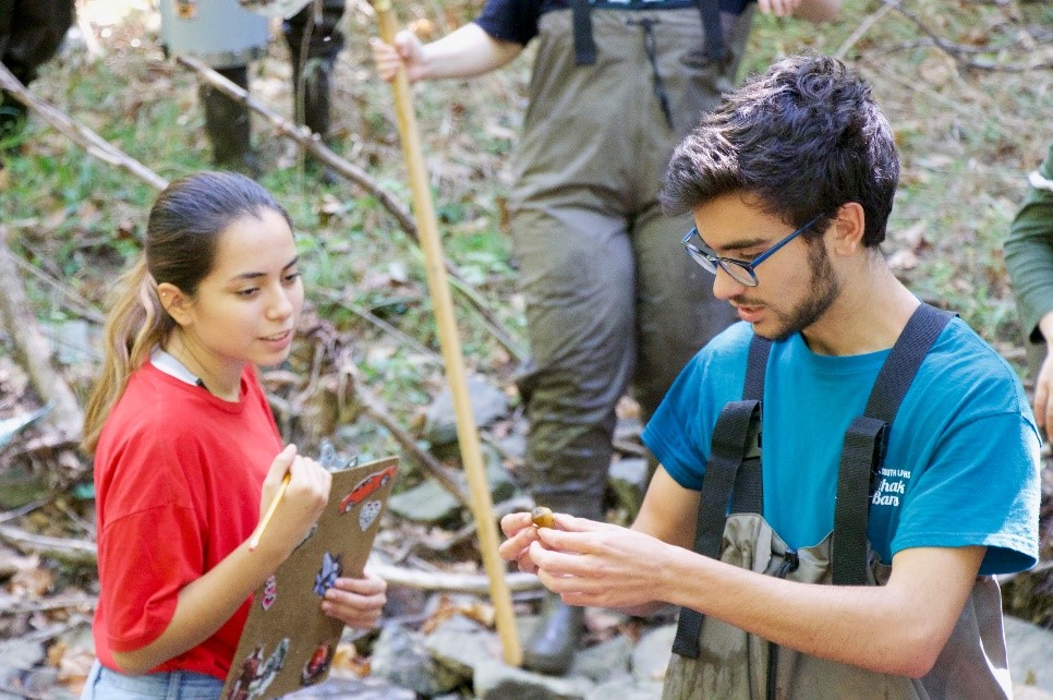 Students taking measurements of water quality