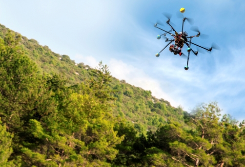 drone flying over forest_credit iStock