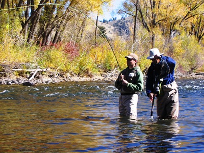 Fish Near Crested Butte_credit Adam Sharron