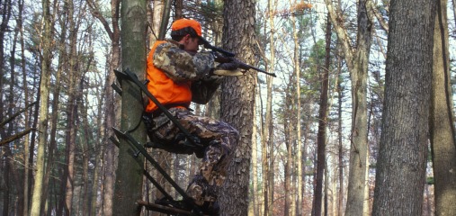 Deer-Stand_USFWS