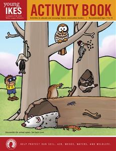 Activity Book 9-11 cover small