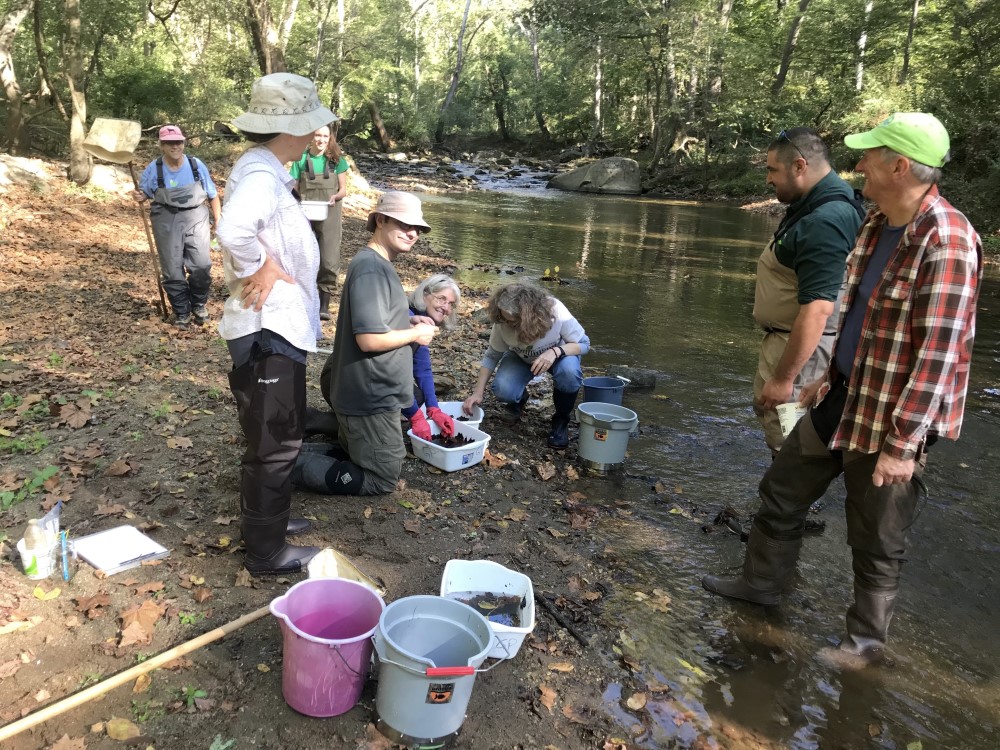 People monitoring a stream