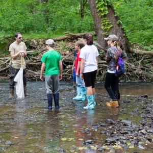 kids stream monitoring