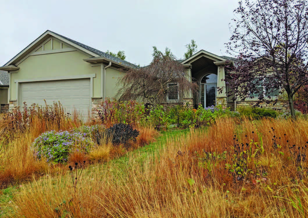 Native plants provide beauty and habitat all year round - credit Benjamin Vogt