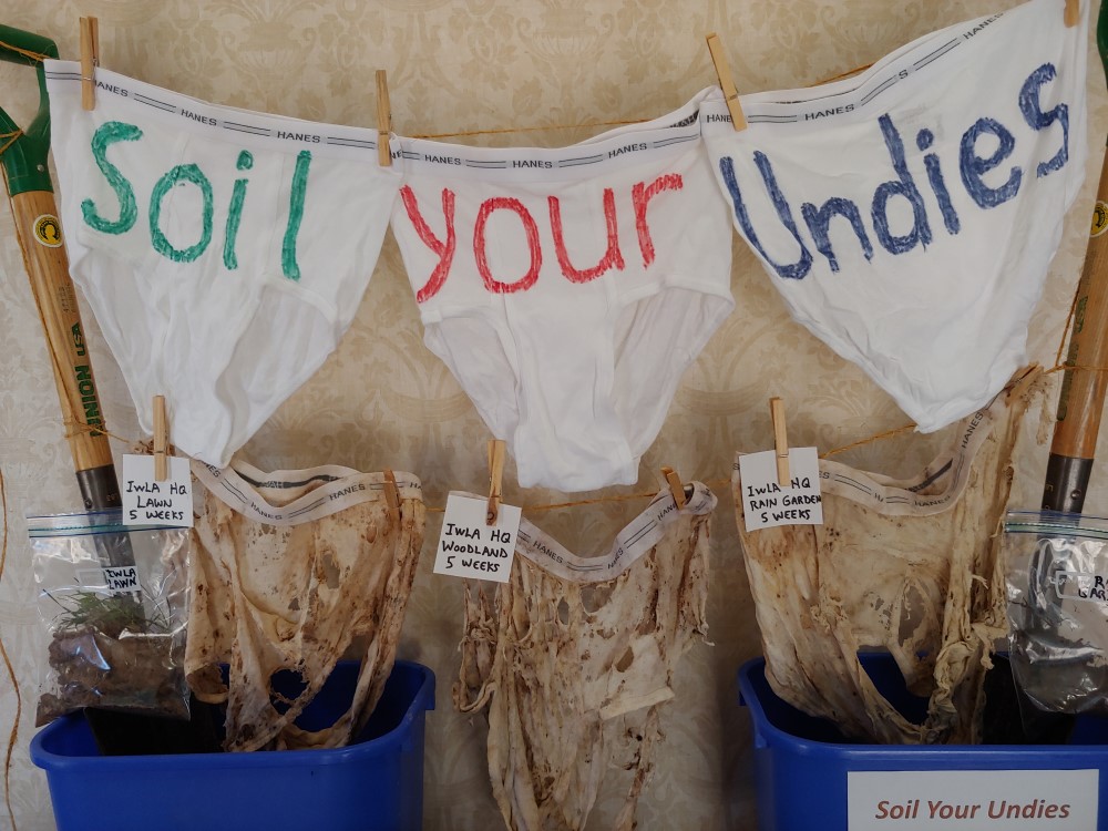 Soil your undies!