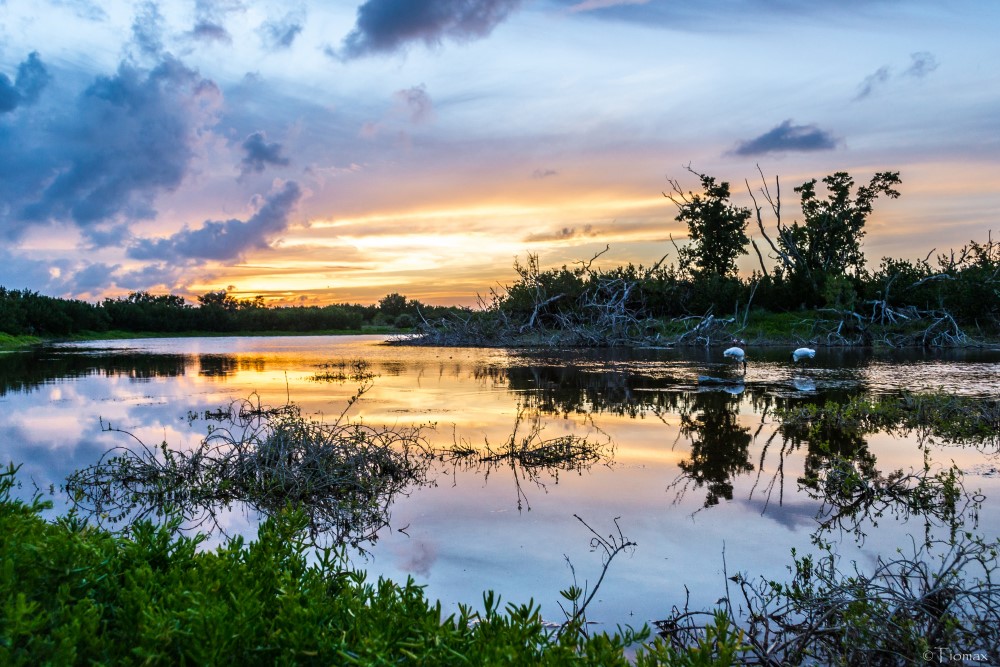 Sunset in the Everglades