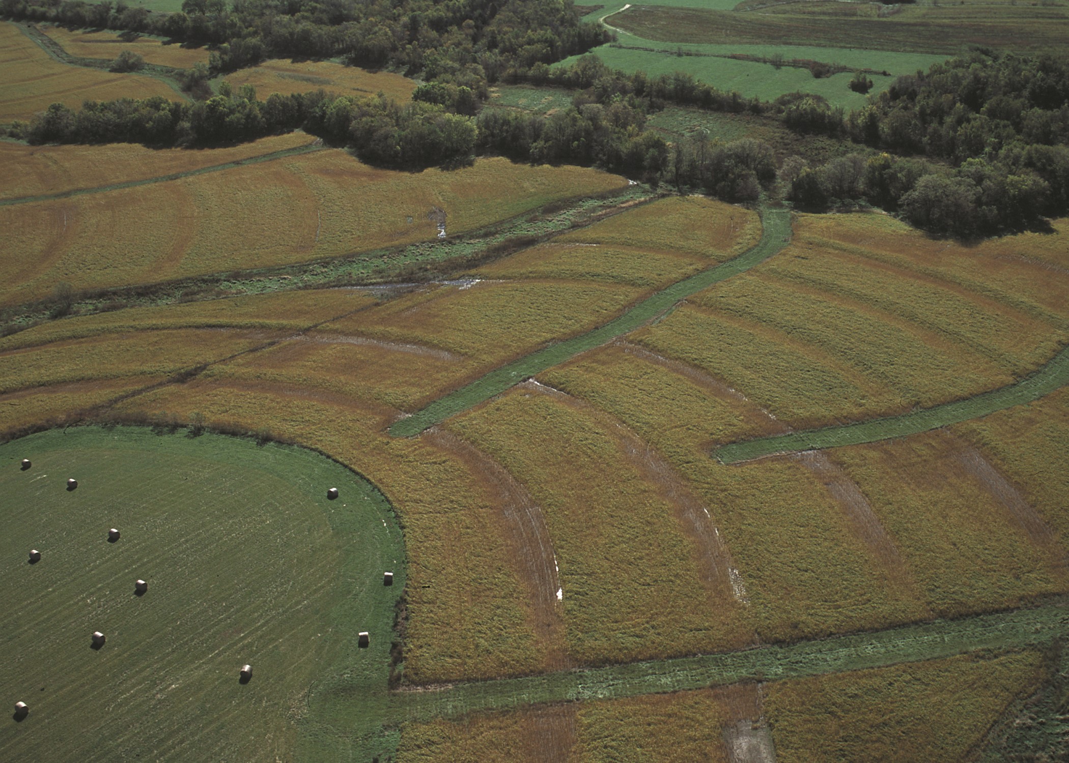 2-ConservationSystemsMissouriPhotoBySarahMinorNRCS