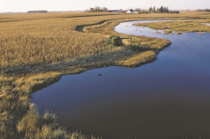A restored wetland on an Iowa cornfield - credit Tim McCabe, USDA