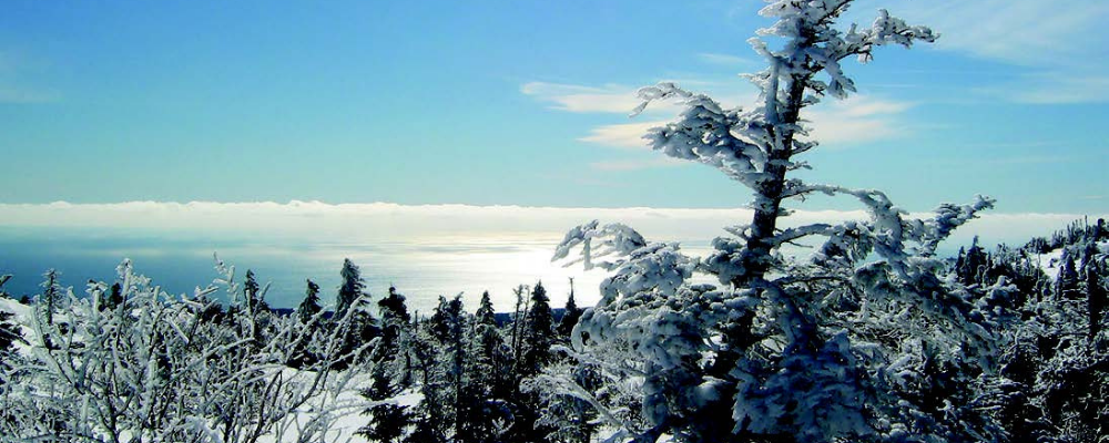 Acadia National Park - credit National Park Service