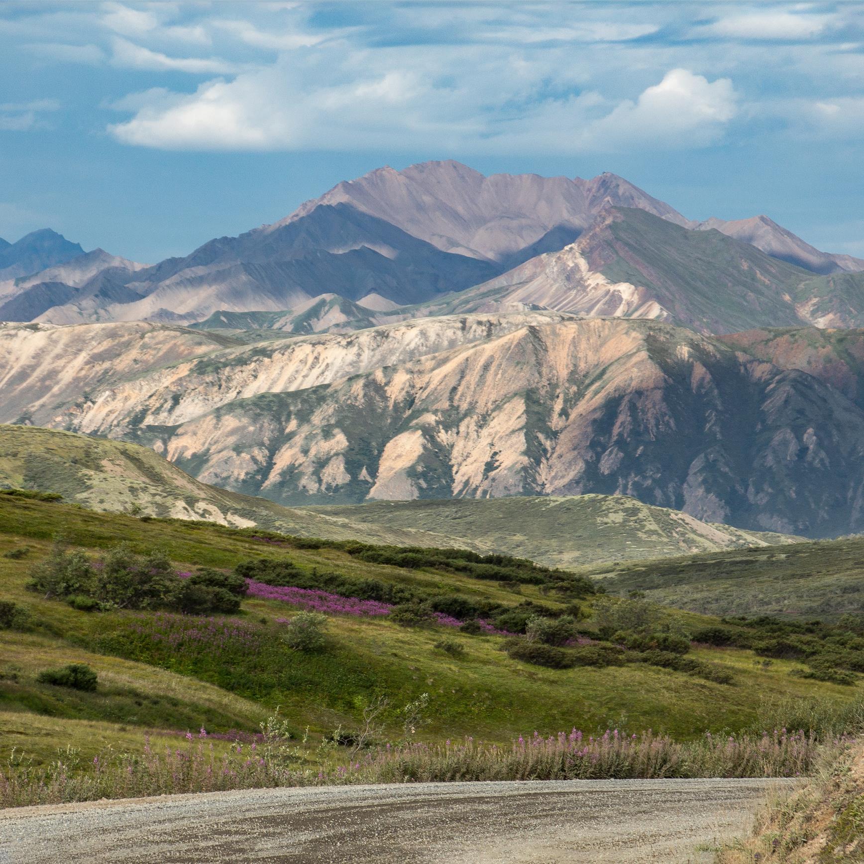 Denali National Park - Pixabay