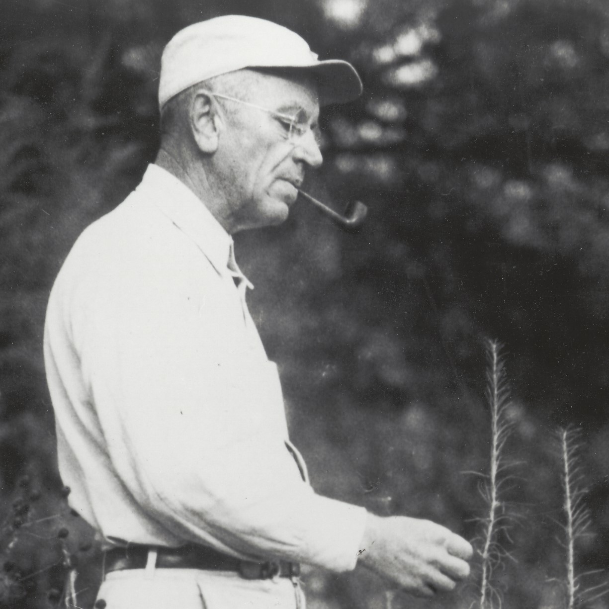 Aldo Leopold - credit Bob McCabe