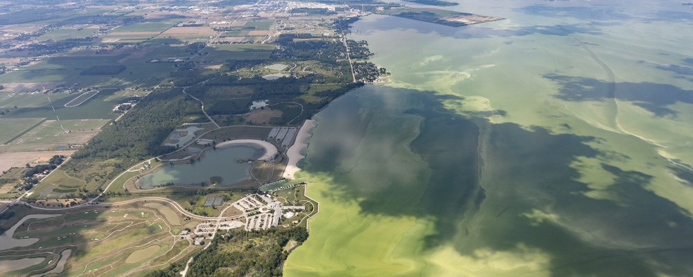 Algal bloom in Lake Erie - credit Ohio Sea Grant & Stone Lab