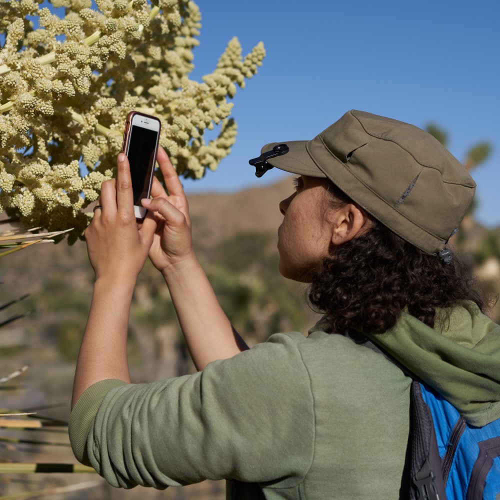 Citizen scientist - credit iNaturalist and Tony Iwane