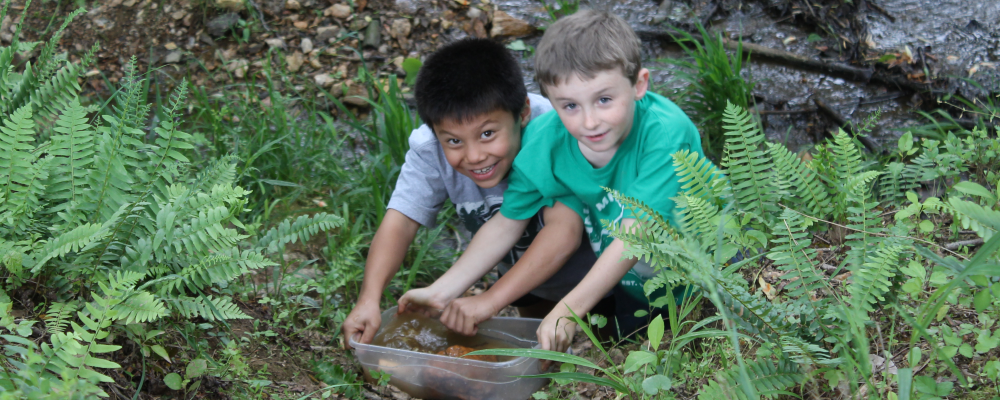 Kids doing stream monitoring