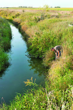 Drain pipe on a farm - credit USDA ARS