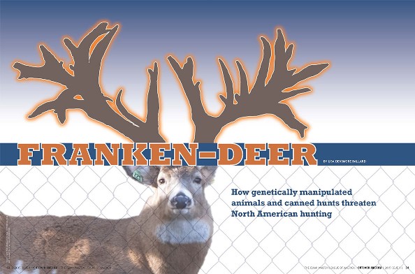 Franken-Deer cover image