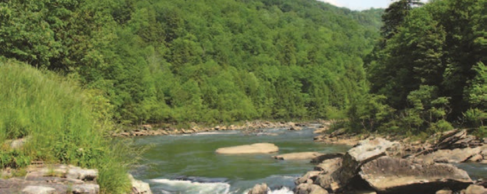 Gauley River in West Virginia - credit Dave Bier, National Park Service