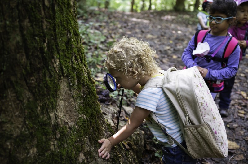 Getter a closer look at moss  - credit Fairfax County Park Authority