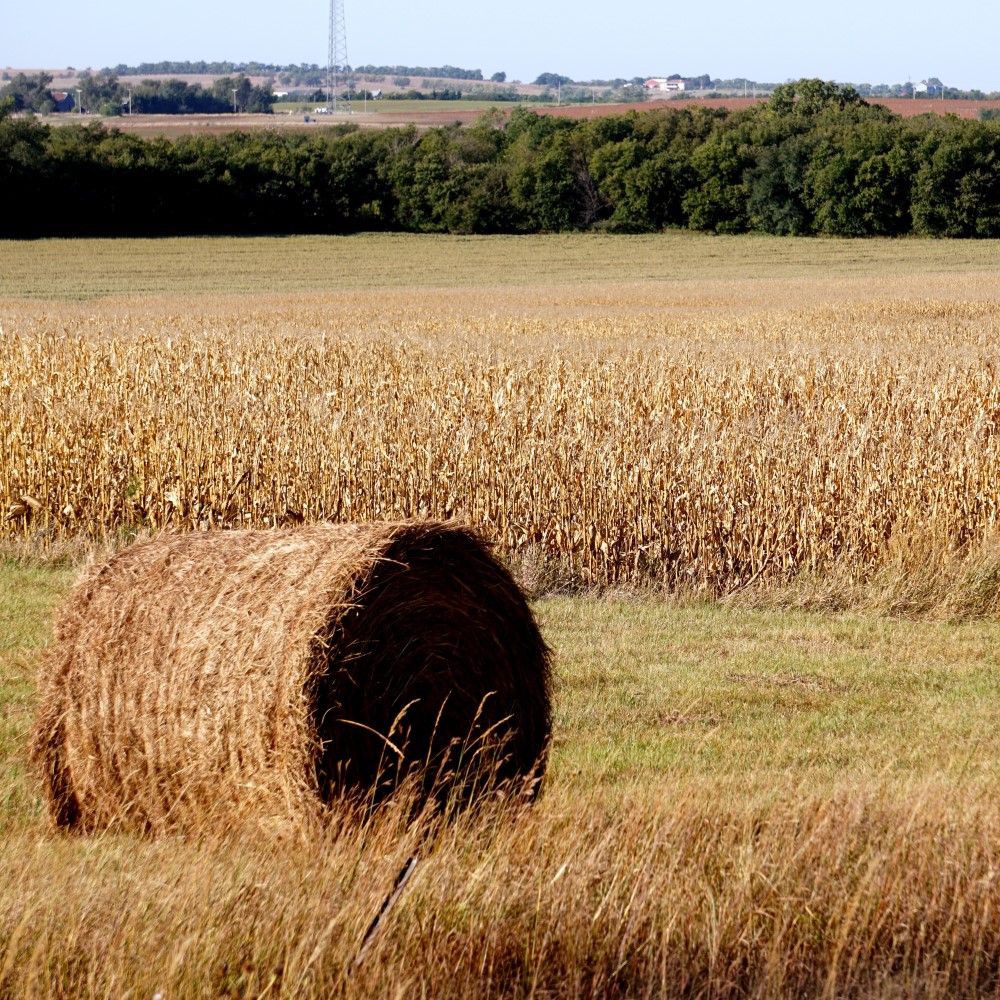 Hay bale in a farm field - credit Pixabay
