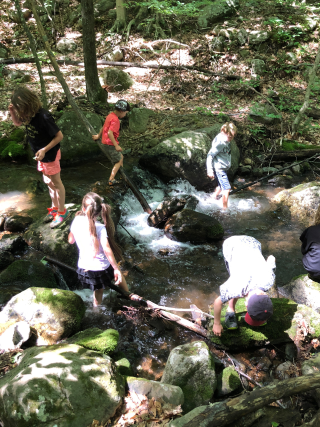 Kids playing in stream