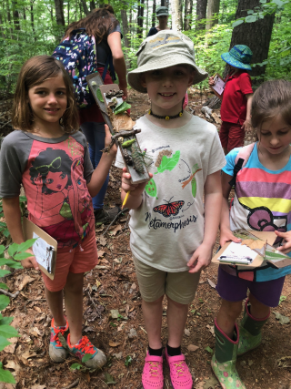 Kids hiking in the woods