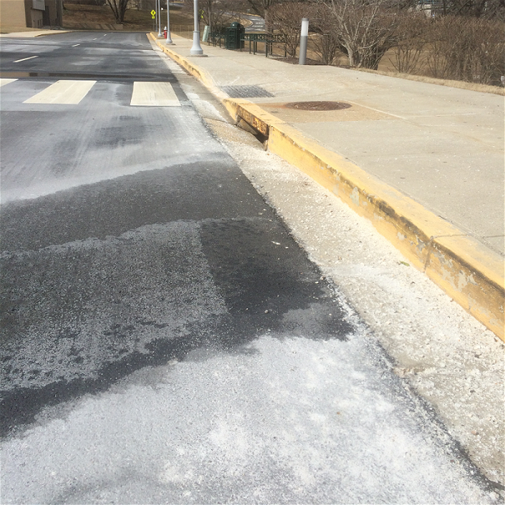 Leftover road salt - credit Michael Reinemer