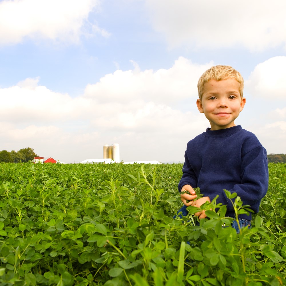 Organic farm in Ohio - credit Scott Bauer, USDA NRCS