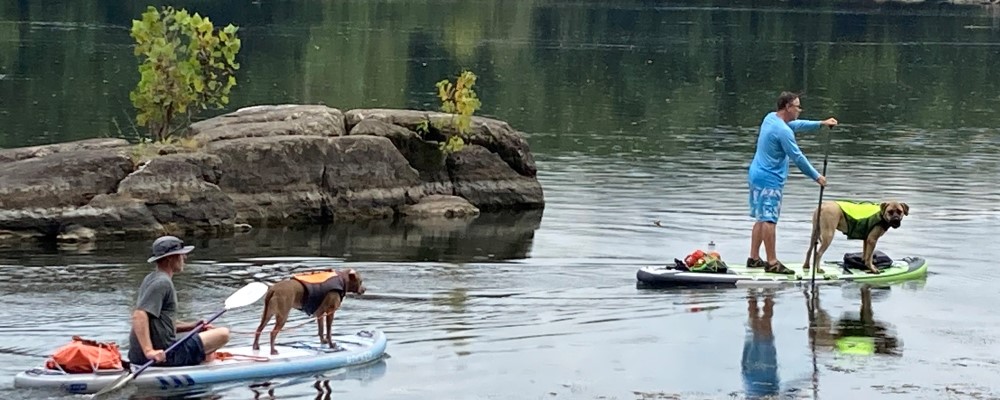 Paddlers on the Potomac - credit Michael Reinemer