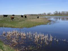 South Dakota wetlands - credit Paul Lepisto