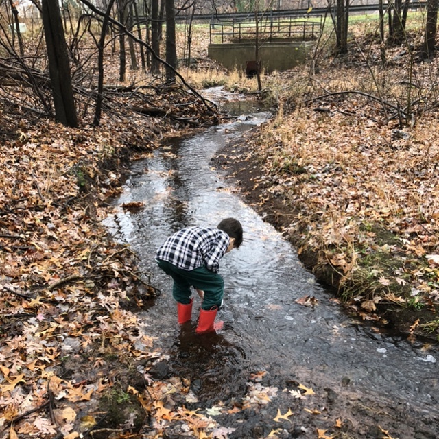 Boy in stream