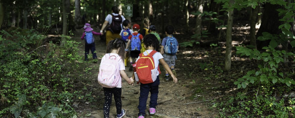 Riverbend Park Forest Preschool in Virginia - credit Fairfax County Park Authority