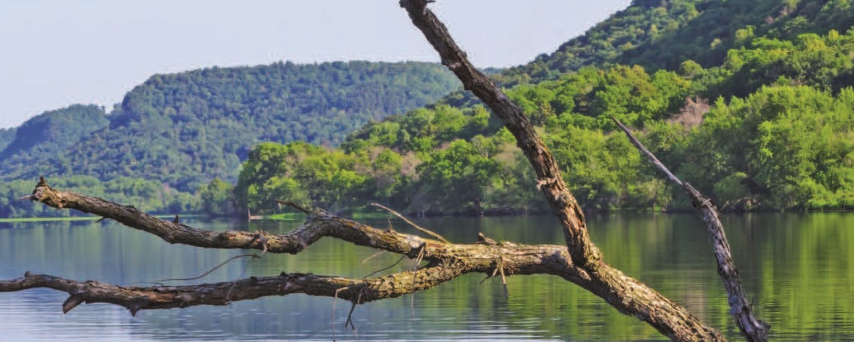 Scenic view of the Upper Mississippi - credit Steven Marking