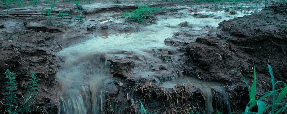 Farm runoff