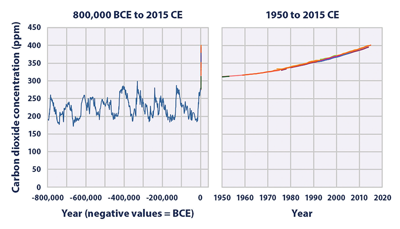 Temperature graph