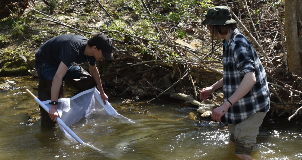 Students using a seine net