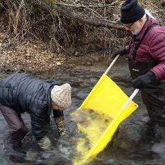 People doing stream monitoring